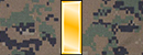 2ndLt.jpg