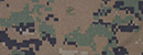 Pvt.jpg